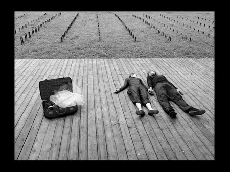 Серия   Fall in Love (2005—2008)