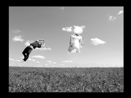 Серия   Fall in Love (2005—2008)